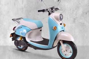 在縣級(jí)開(kāi)臺(tái)鈴電動(dòng)車(chē)加盟店要多少錢(qián) 開(kāi)店流程是什么