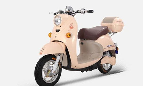 十大電動車品牌謀求新發(fā)展 產品和服務是關鍵