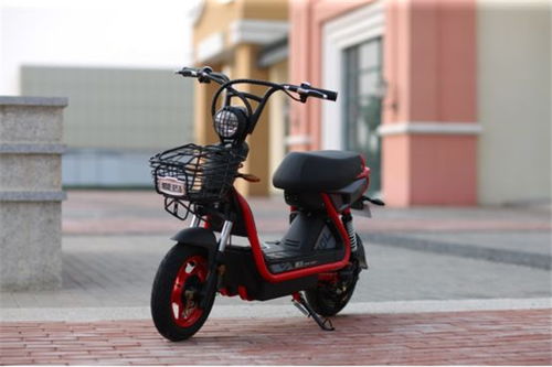 您正在訪問第351頁(yè) 最新投資加盟資訊